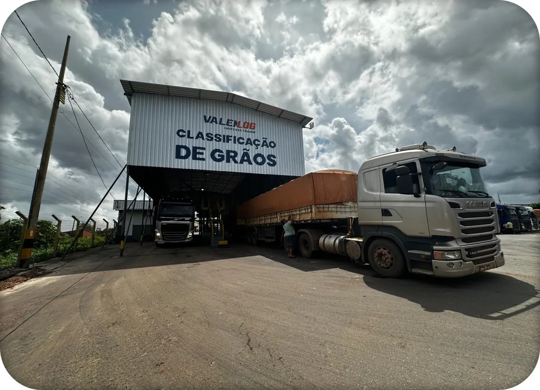 Classificação de Grãos ValenLog